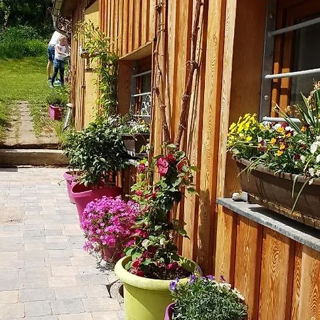 Schneestern Appartement Suhl