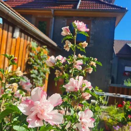 Apartmán Schneestern